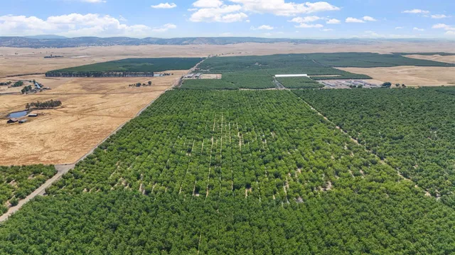a view of yard with ocean view