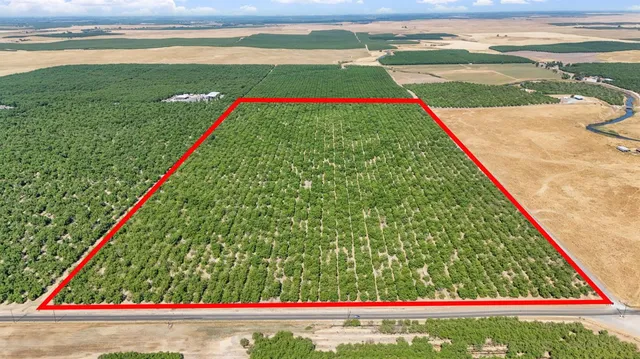 a view of swimming pool from a balcony