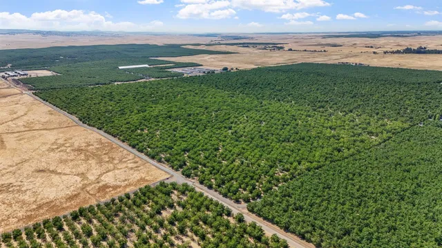 $1,455,440 | 0 Milton Road, Farmington, CA 95230