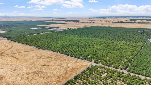 $1,455,440 | 0 Milton Road, Farmington, CA 95230
