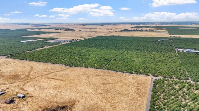 $1,455,440 | 0 Milton Road, Farmington, CA 95230