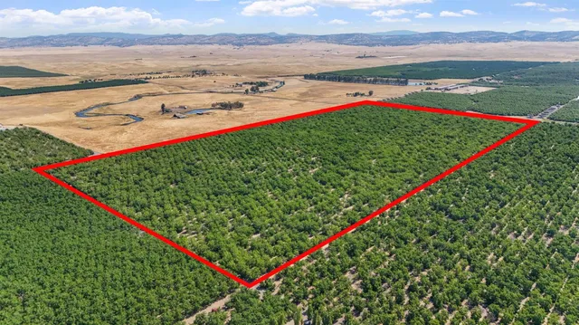a view of a backyard with a lake view