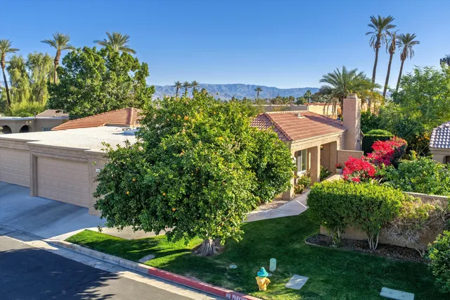 a view of a garden with a flower in a garden
