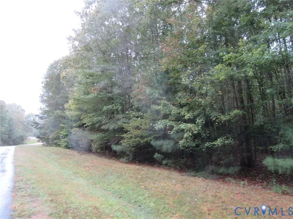 a view of a forest with trees in the background