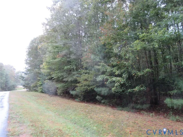 a view of a forest with trees in the background