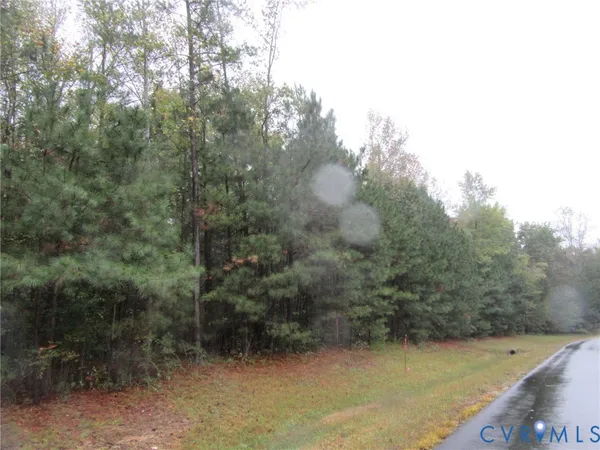 a view of swimming pool with trees in background