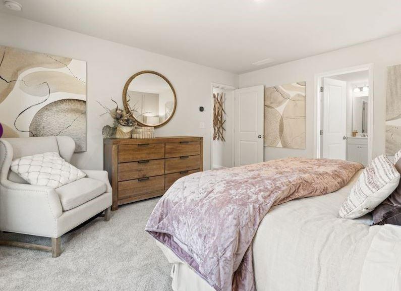 29 Canopy Way Dawsonville, GA 30534 - Photo 19 of 29