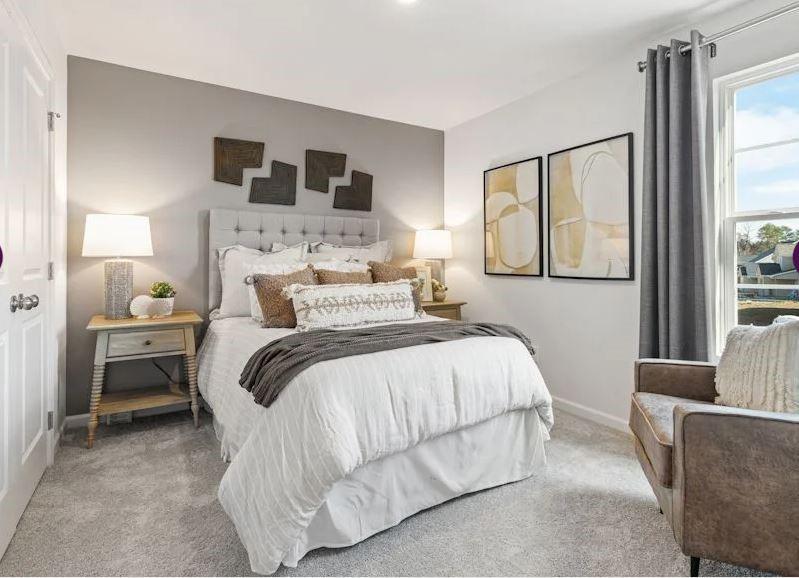 29 Canopy Way Dawsonville, GA 30534 - Photo 24 of 29