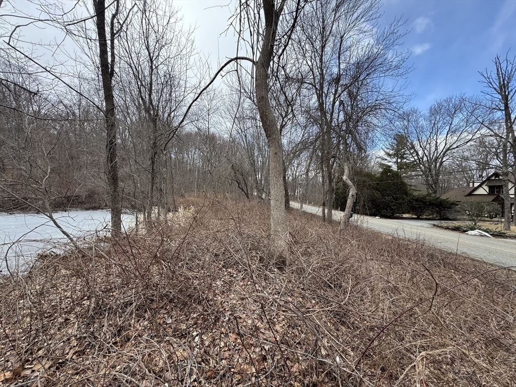 358 West Sutton Road Sutton, MA 01590 - Photo 3 of 6 a view of a forest filled with trees