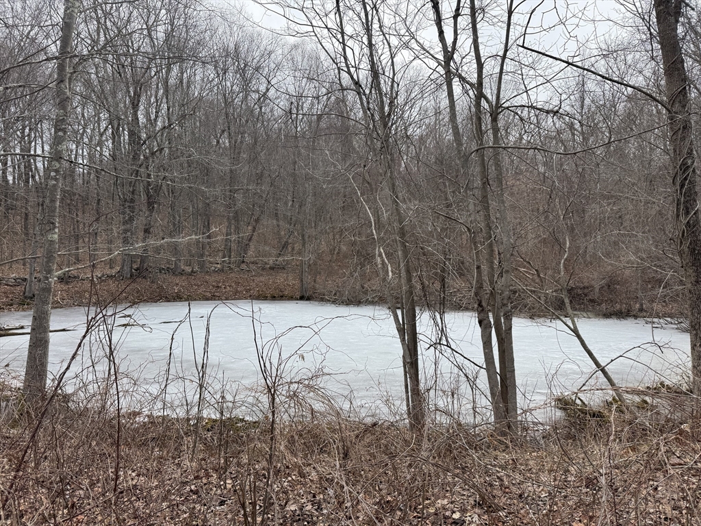 358 West Sutton Road Sutton, MA 01590 - Photo 4 of 6 a view of wooden fence and trees
