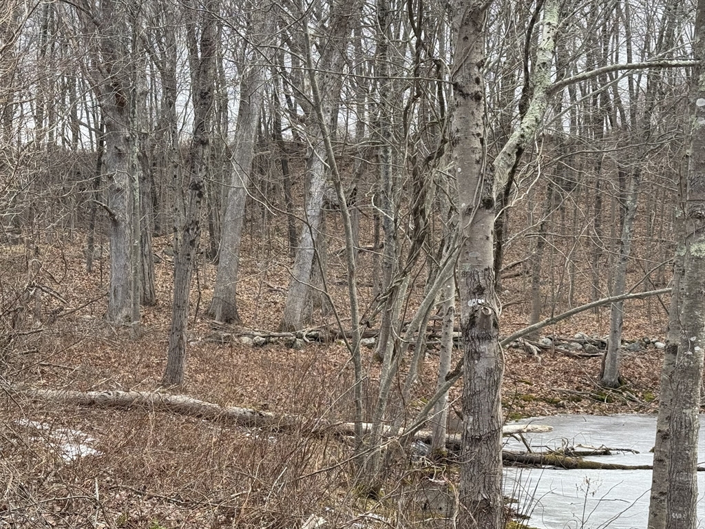 358 West Sutton Road Sutton, MA 01590 - Photo 5 of 6 a view of outdoor space with wooden deck and tree