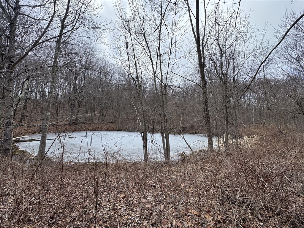 358 West Sutton Road Sutton, MA 01590 - Photo 6 of 6 a view of backyard with wooden fence and large trees