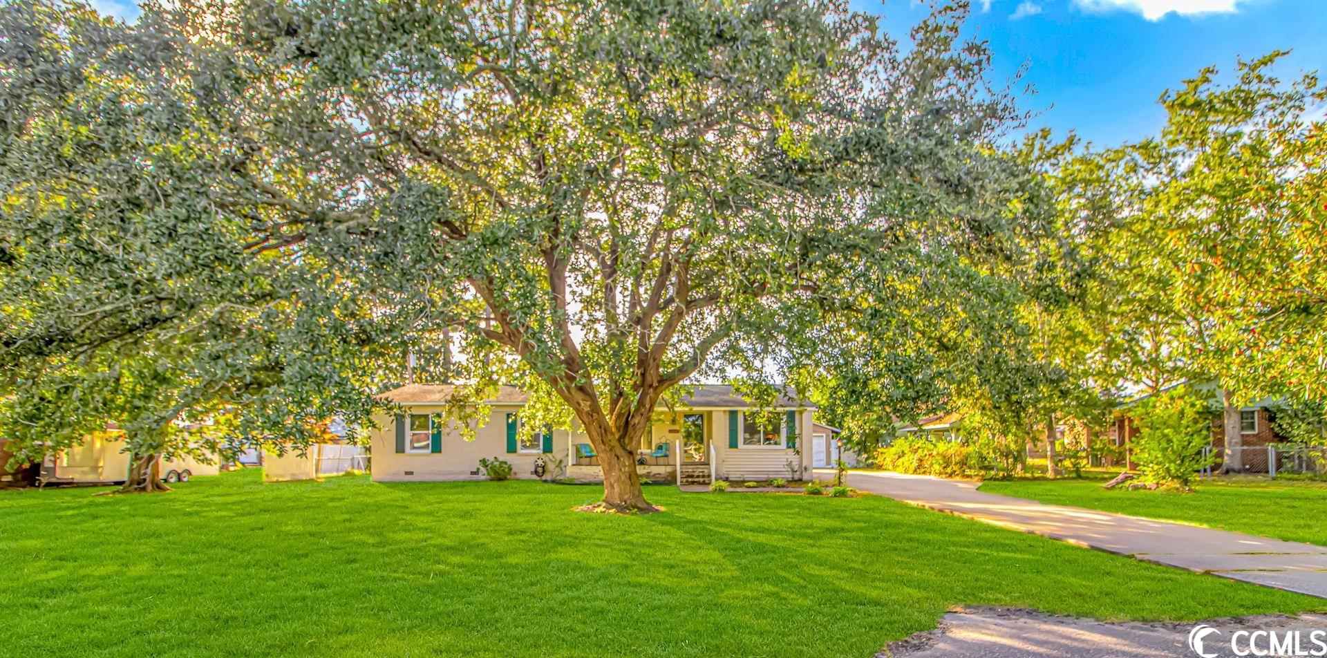 3300 Wall Lane Conway, SC 29527 - Photo 34 of 35