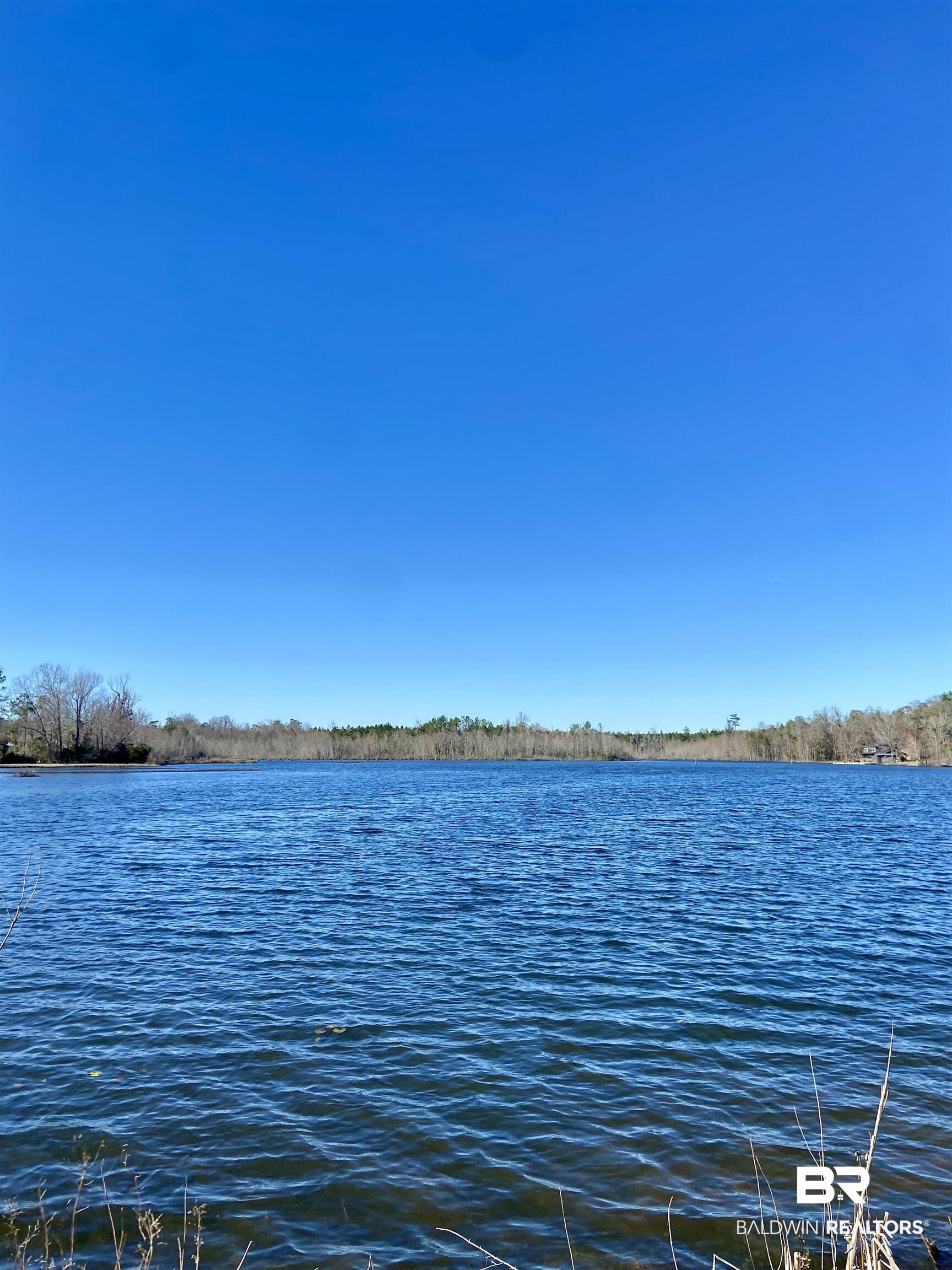 0 Bass Drive Evergreen, AL 36401 - Photo 3 of 3 View of dock with a water view
