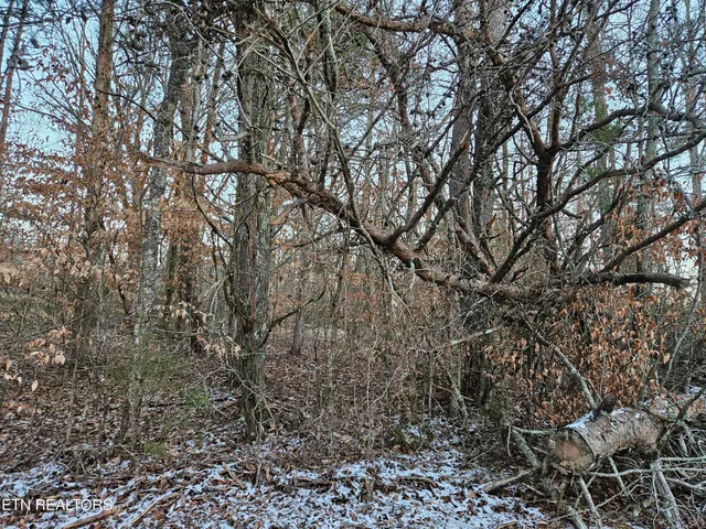 $359,900 | Pollard Cemetery Road, Walling, TN 38587