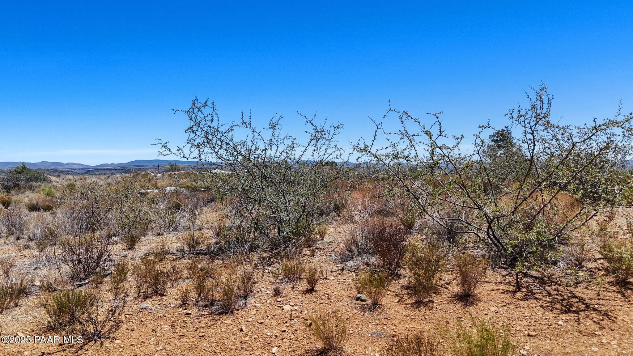 0 South Lot H - Val Vista Road Mayer, AZ 86333 - Photo 14 of 15 a view of a field with trees in background