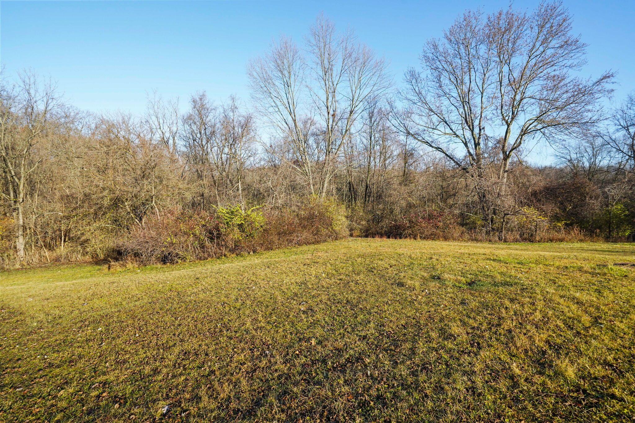0 Lewis Center Road, Unit TRACT 3 Galena, OH 43021 - Photo 6 of 14 17-web-or-mls-DSC02304