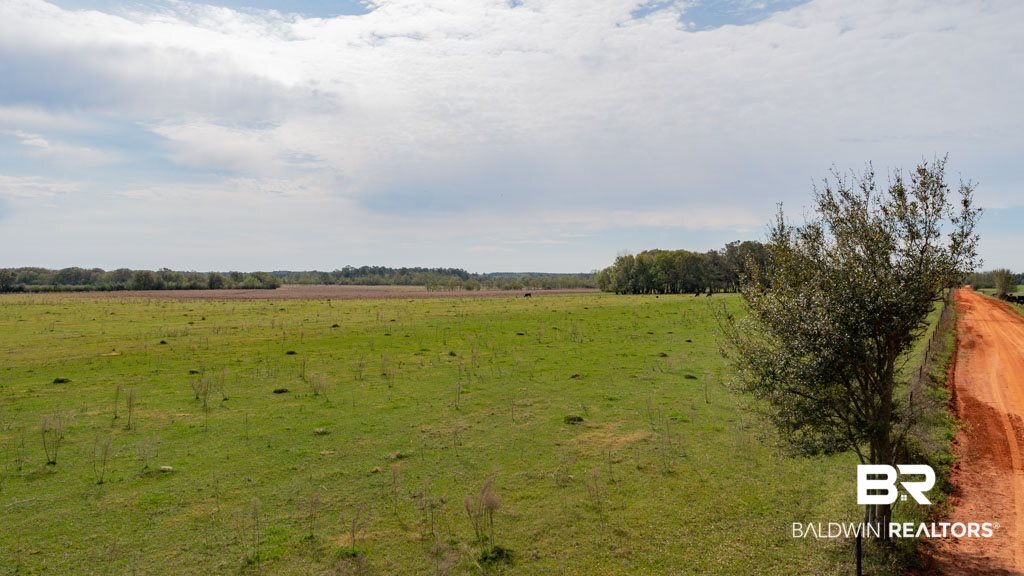 Harms Road Summerdale, AL 36580 - Photo 5 of 9