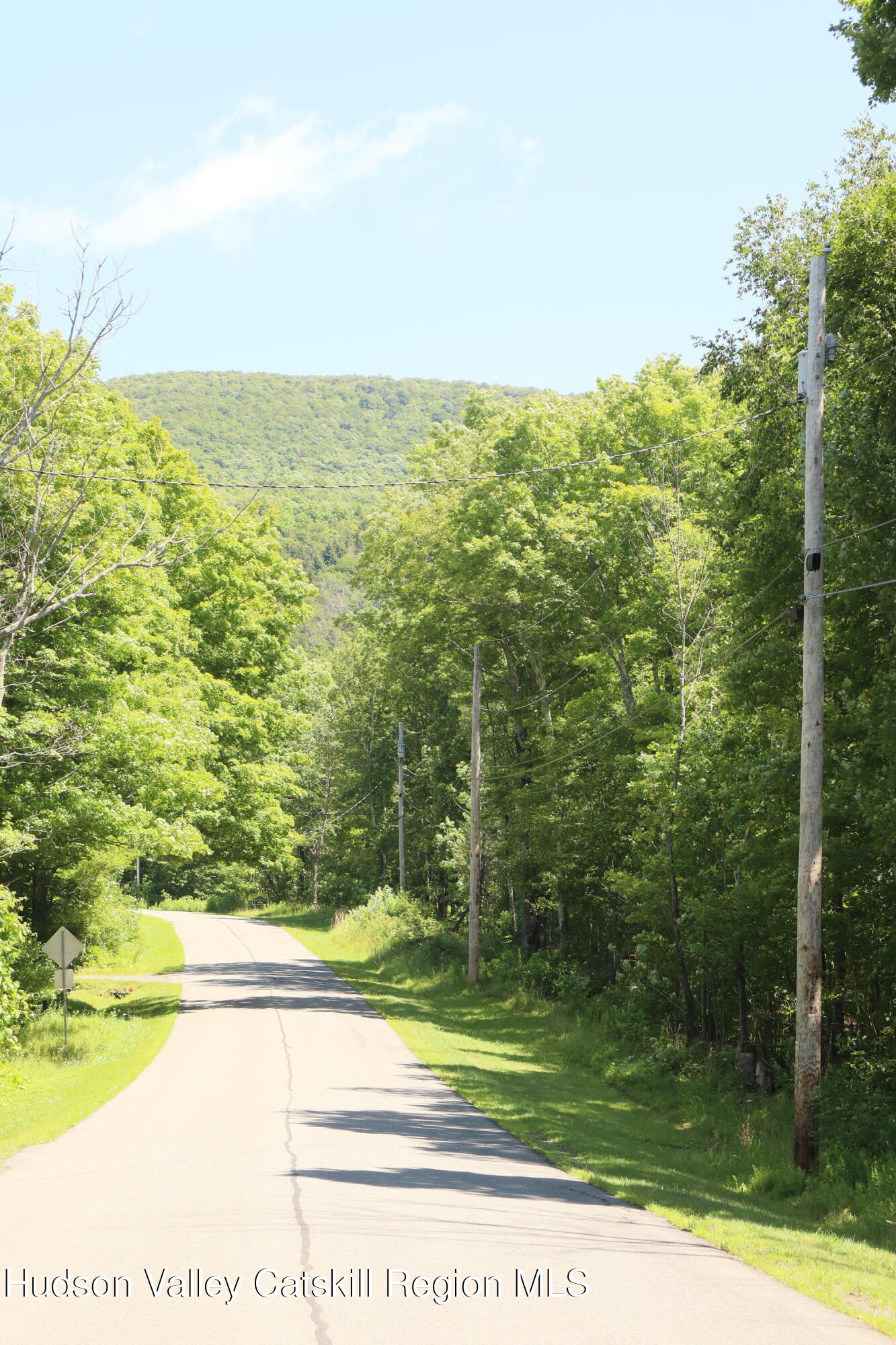 174 High Peak Road Windham, NY 12439 - Photo 20 of 27 a view of beach and yard