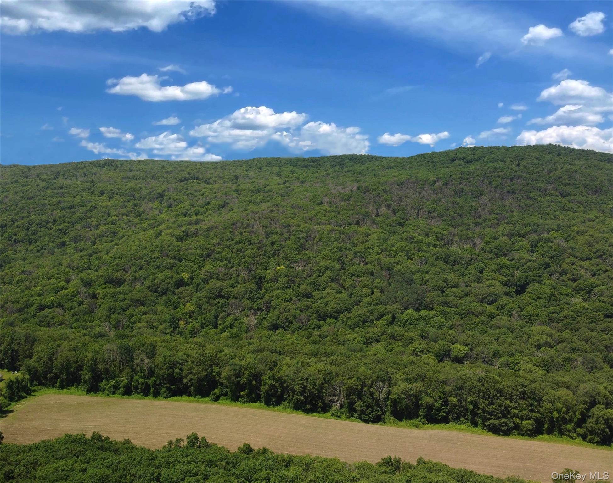 Perrys Corners Road Amenia, NY 12501 - Photo 12 of 14 Mountain view with a forest
