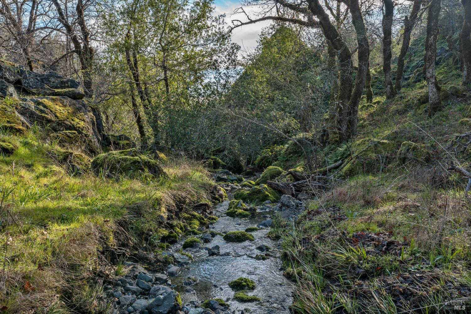 5400 Orr Springs Road Ukiah, CA 95482 - Photo 12 of 29 a view of a lush green forest with large trees