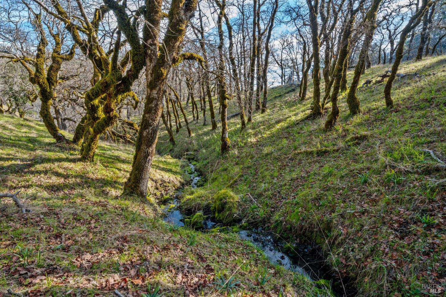 5400 Orr Springs Road Ukiah, CA 95482 - Photo 13 of 29 a view of outdoor space and a yard