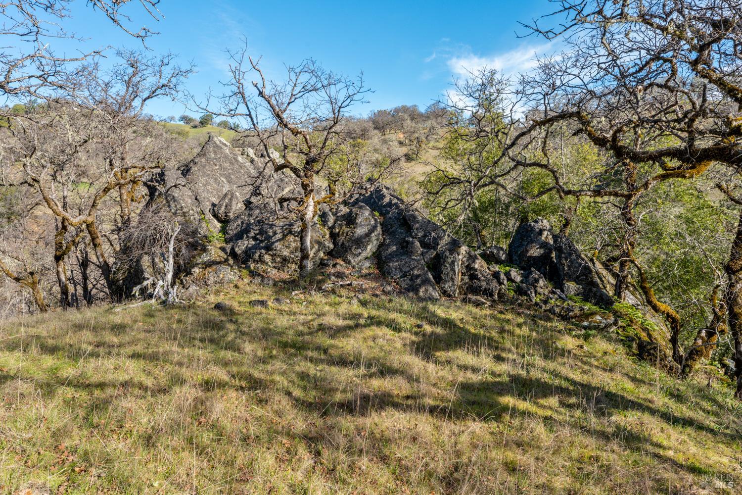 5400 Orr Springs Road Ukiah, CA 95482 - Photo 15 of 29 a view of a yard
