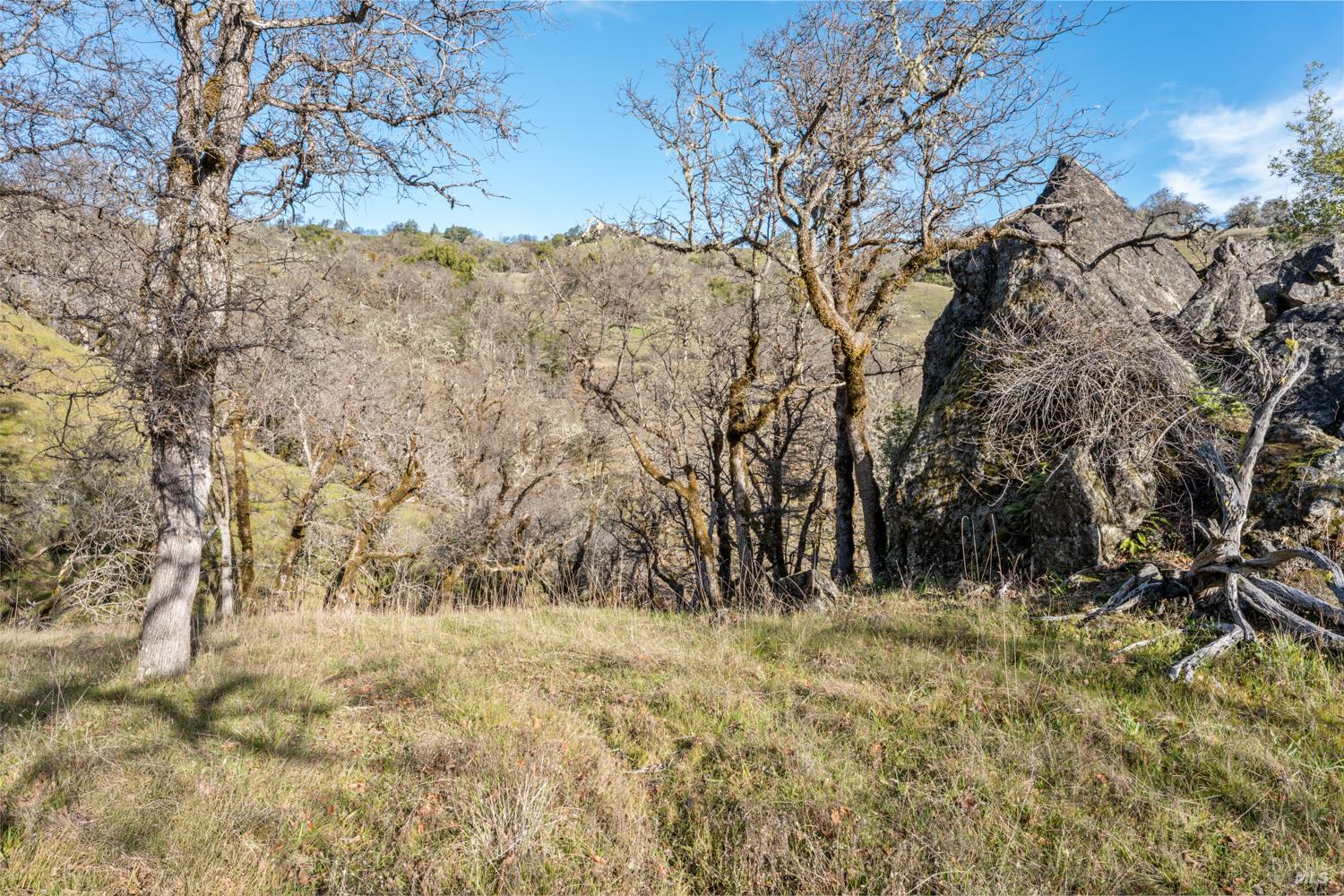 5400 Orr Springs Road Ukiah, CA 95482 - Photo 16 of 29 a view of outdoor space and a yard