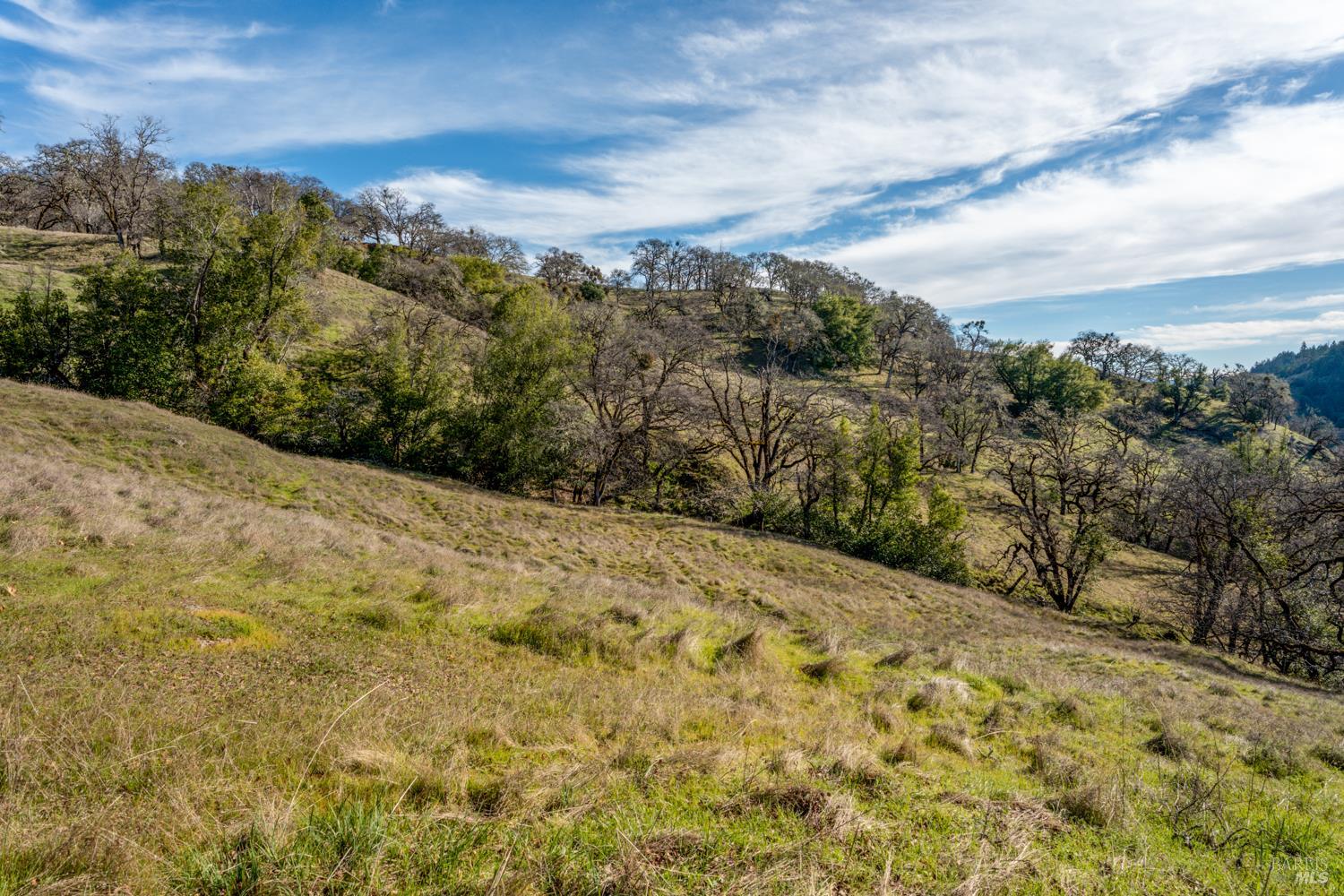 5400 Orr Springs Road Ukiah, CA 95482 - Photo 17 of 29 a view of a large mountain with trees in the background