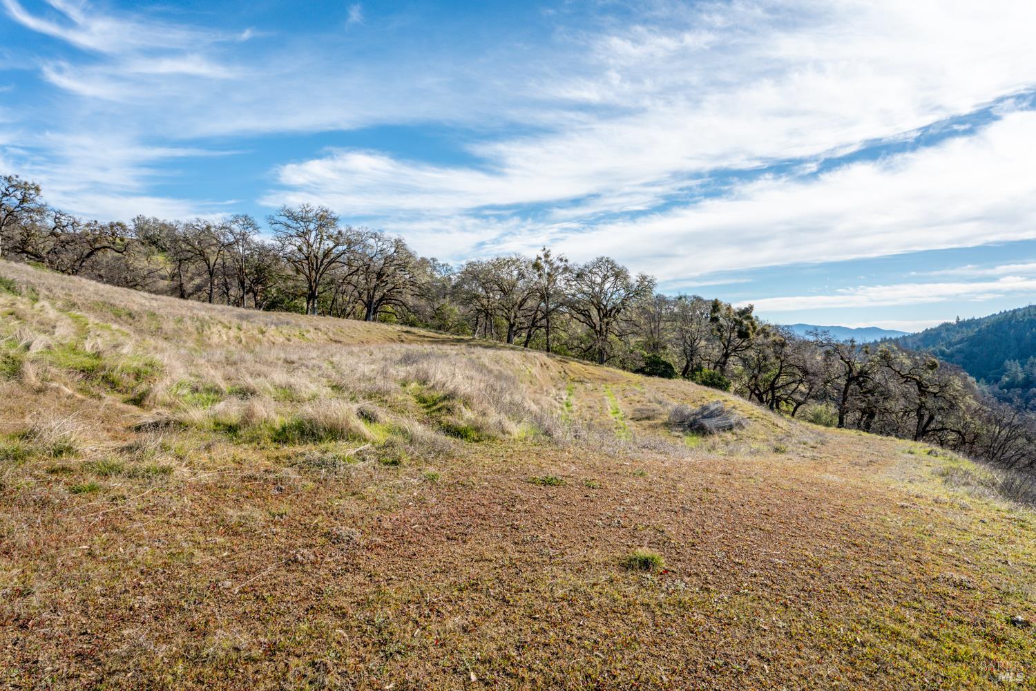 5400 Orr Springs Road Ukiah, CA 95482 - Photo 18 of 29 a view of a dry yard with mountains and valleys in the background