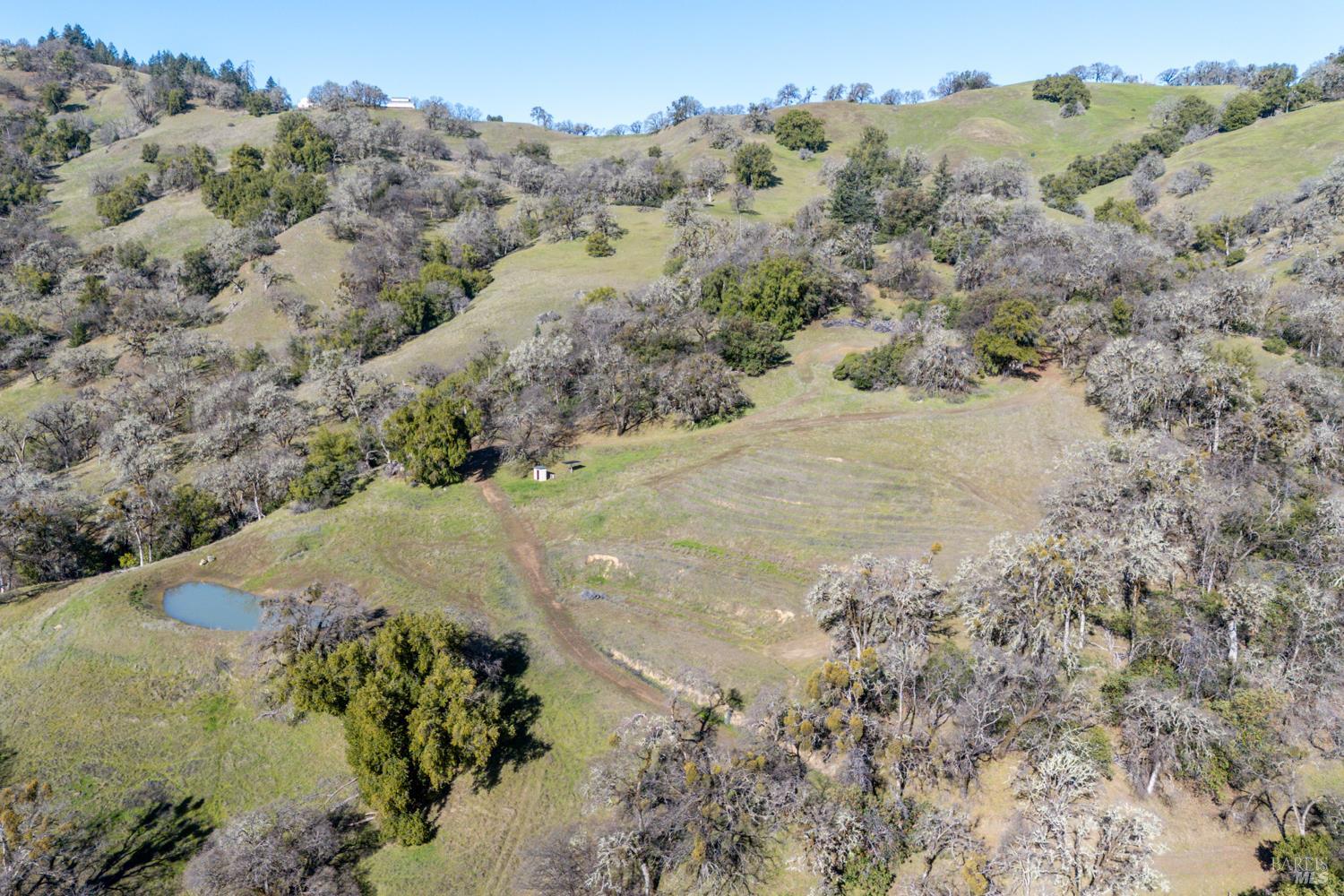 5400 Orr Springs Road Ukiah, CA 95482 - Photo 19 of 29 a view of a forest with a forest