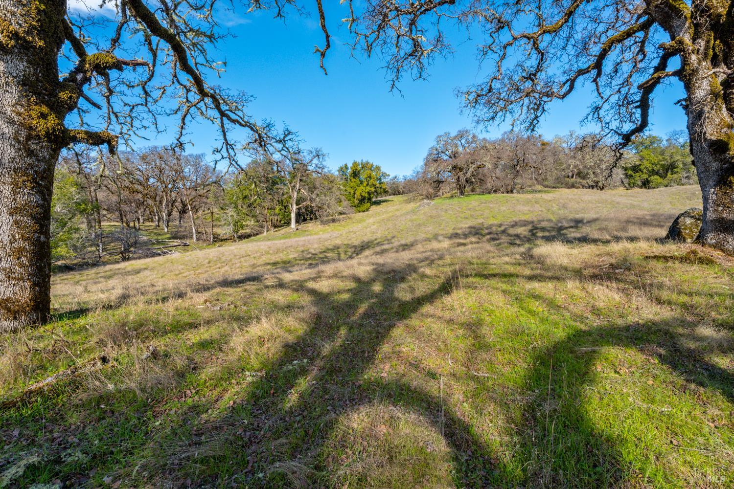 5400 Orr Springs Road Ukiah, CA 95482 - Photo 2 of 29 a view of mountain view with trees