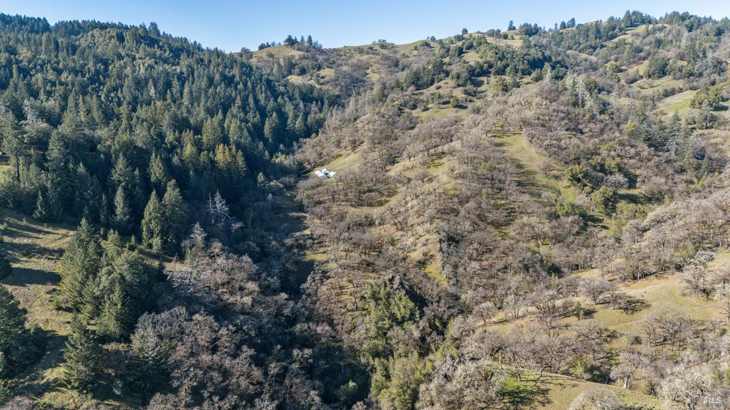5400 Orr Springs Road Ukiah, CA 95482 - Photo 23 of 29 a view of a forest with a tree in the background
