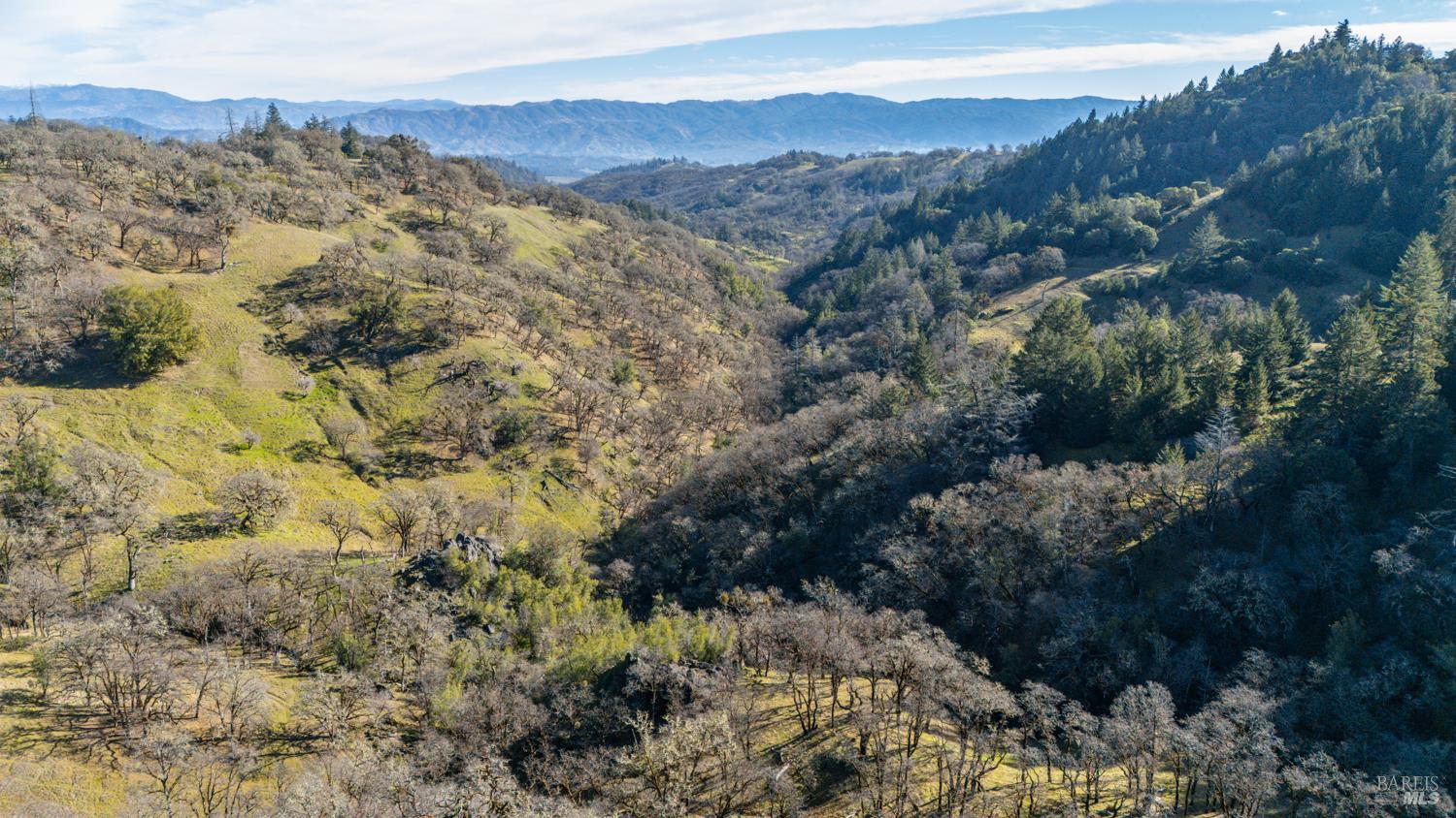 5400 Orr Springs Road Ukiah, CA 95482 - Photo 25 of 29 a view of a forest with mountains in the background