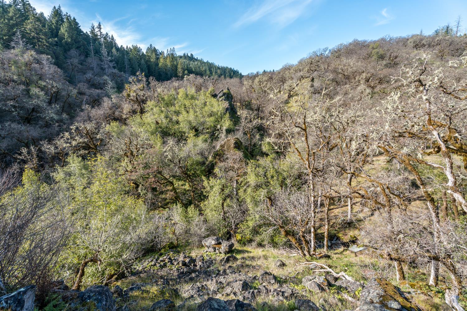 5400 Orr Springs Road Ukiah, CA 95482 - Photo 28 of 29 a view of a forest with a mountain