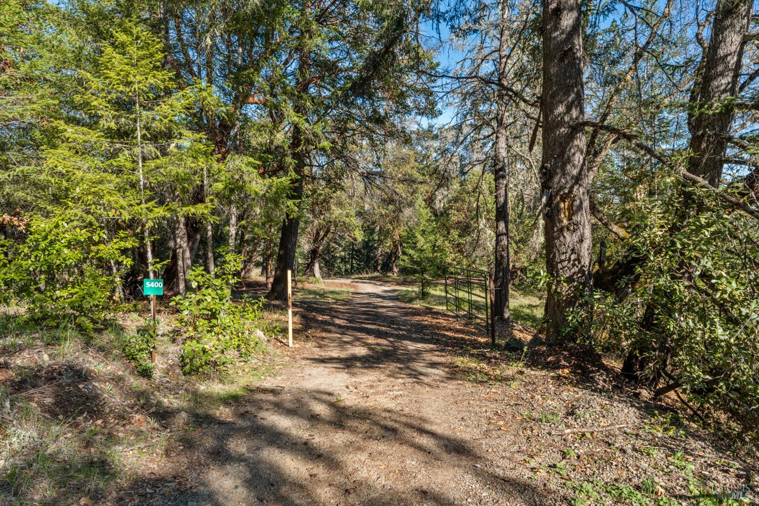 5400 Orr Springs Road Ukiah, CA 95482 - Photo 29 of 29 a view of a forest with trees