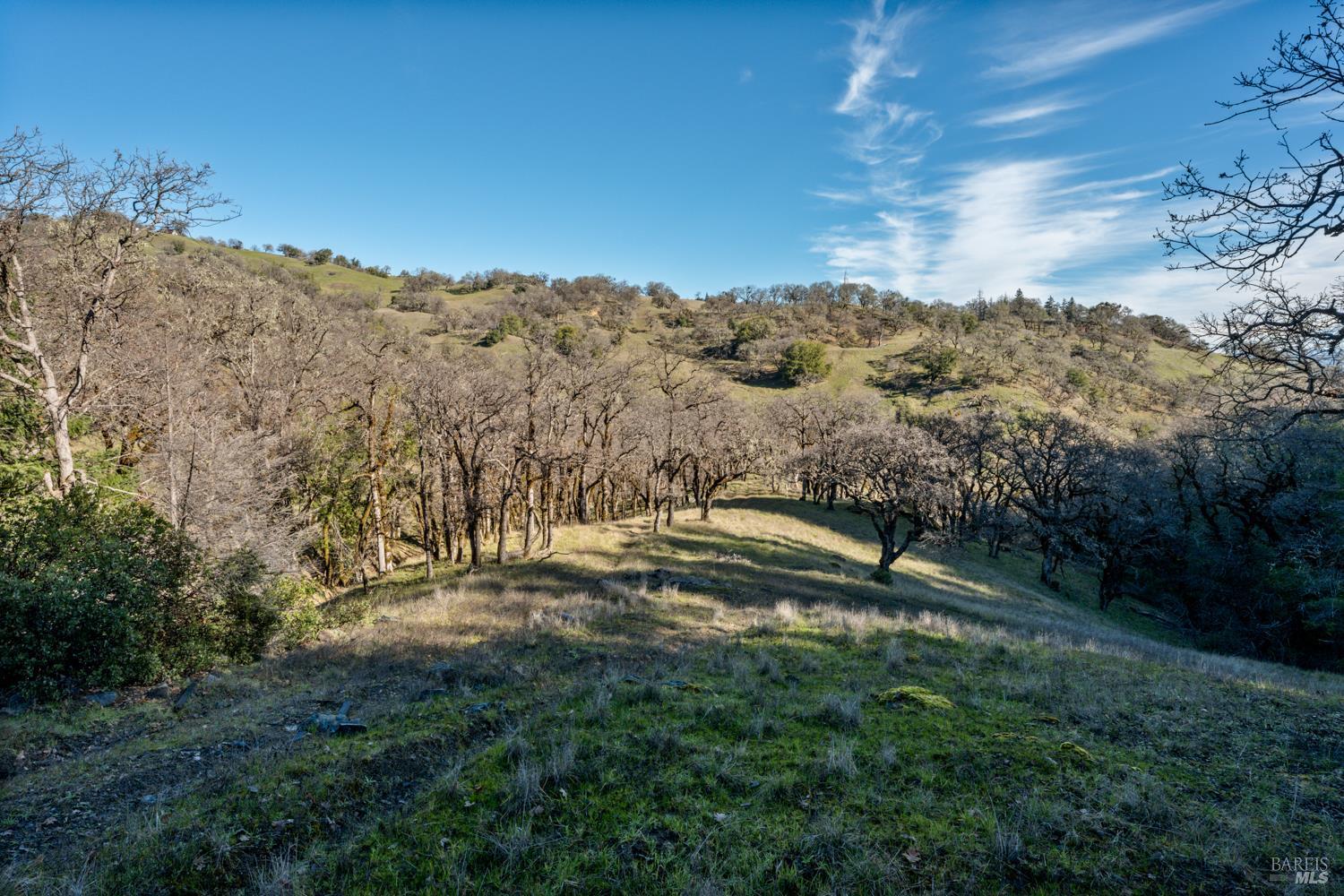 5400 Orr Springs Road Ukiah, CA 95482 - Photo 3 of 29 a view of outdoor space with mountain view