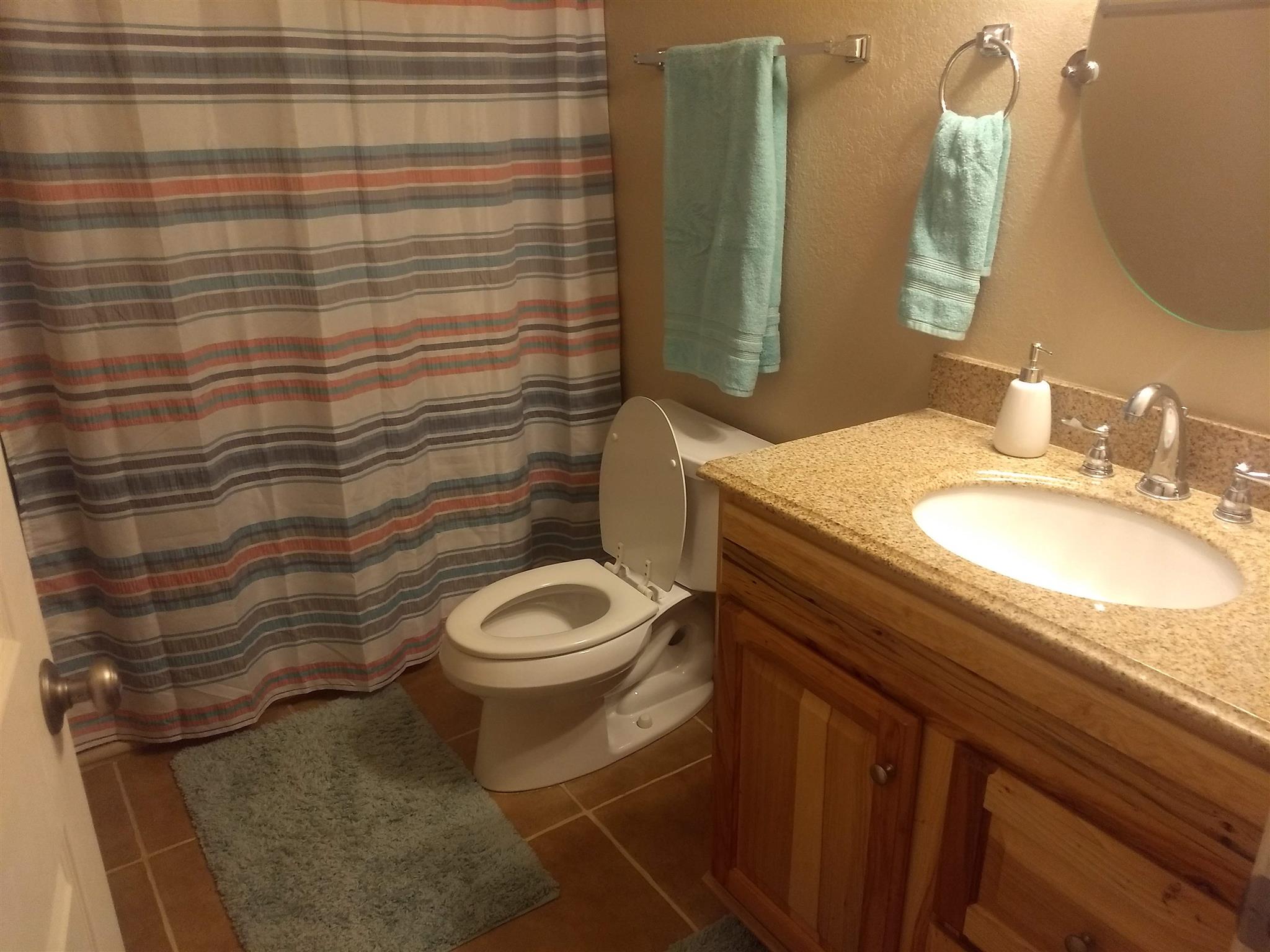 1154 Loftin Road Columbia, TN 38401 - Photo 8 of 8 a bathroom with a granite countertop toilet sink and mirror