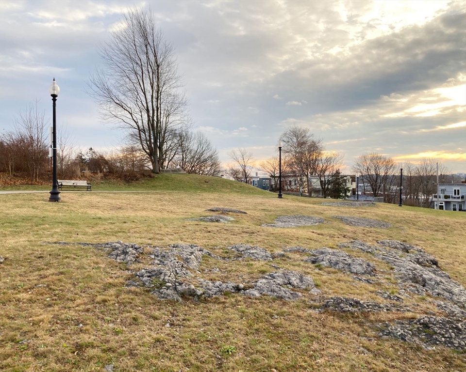 63 Beech Glen Street Boston, MA 02119 - Photo 6 of 9 a view of a ocean with a big yard