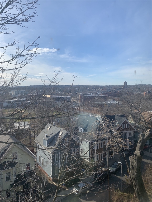 63 Beech Glen Street Boston, MA 02119 - Photo 9 of 9