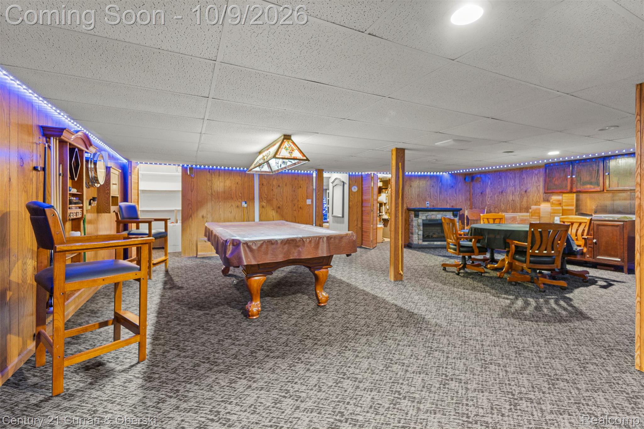 43040 Willis Road Belleville, MI 48111 - Photo 40 of 65 Spacious finished lower level featuring wood-paneled walls, carpet flooring, and a built-in fireplace with stone surround