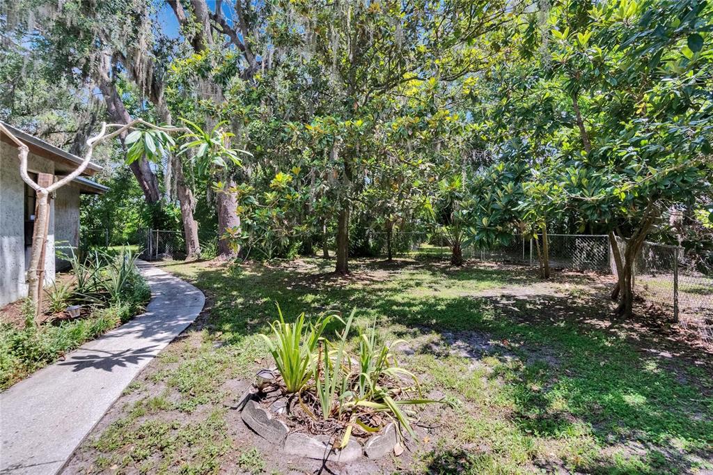 3102 East Trapnell Road Plant City, FL 33566 - Photo 15 of 100 a view of backyard with green space