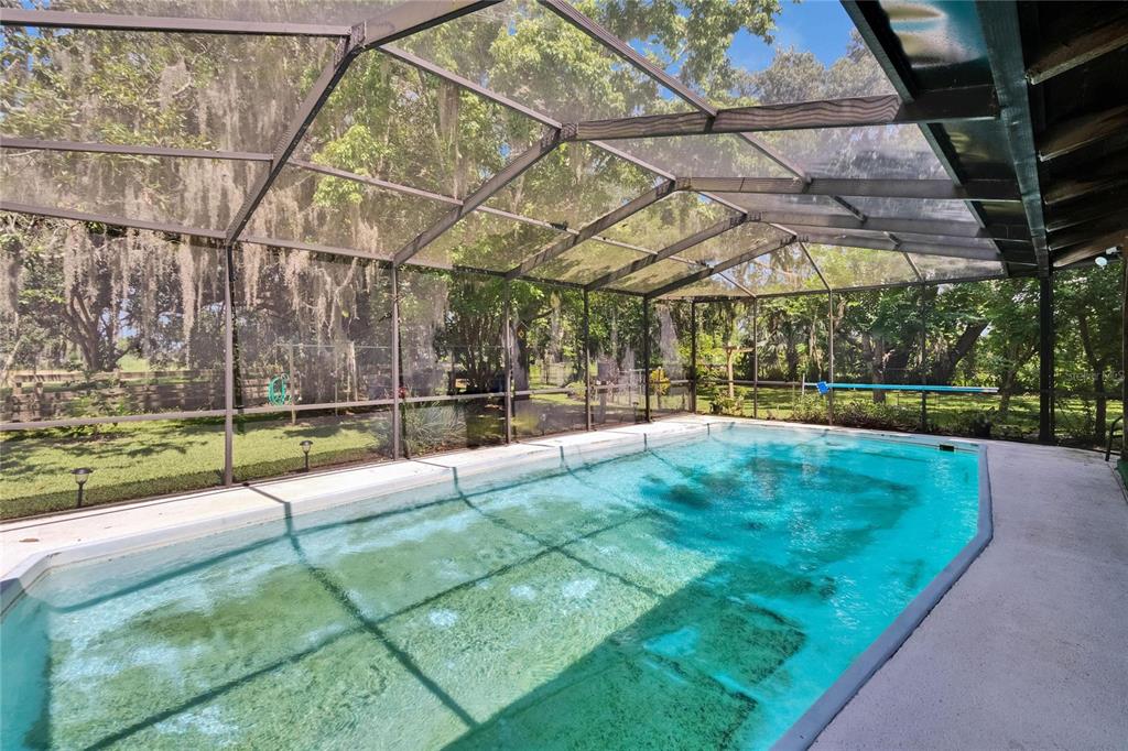 3102 East Trapnell Road Plant City, FL 33566 - Photo 22 of 100