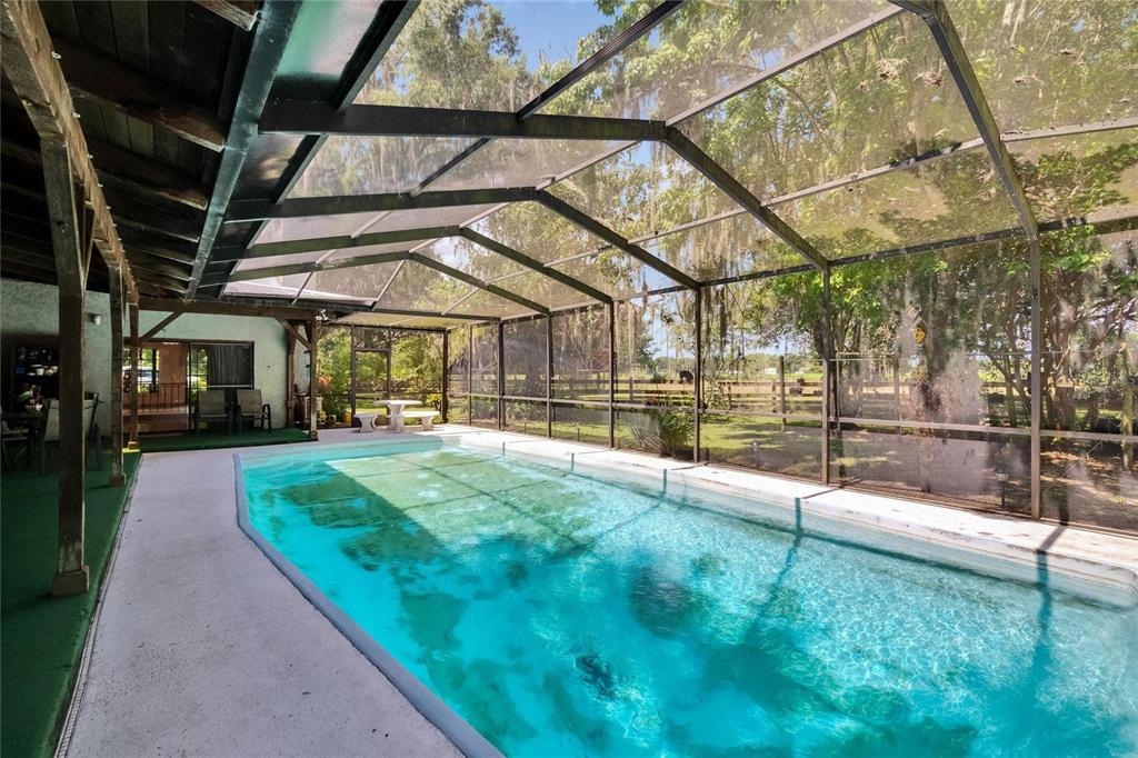 3102 East Trapnell Road Plant City, FL 33566 - Photo 23 of 100