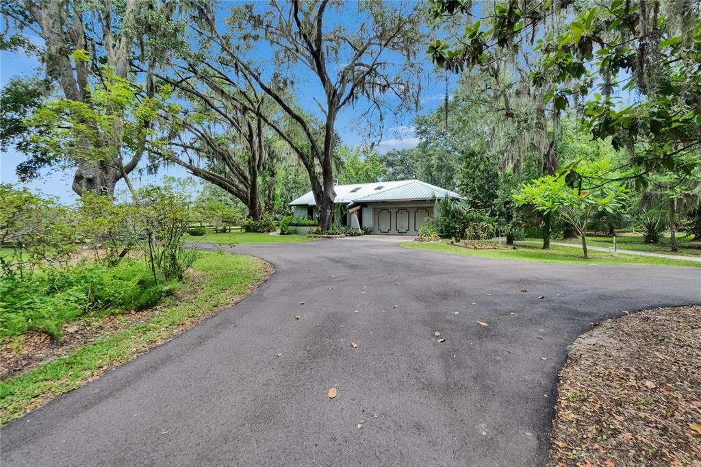 3102 East Trapnell Road Plant City, FL 33566 - Photo 27 of 100 a view of a street with a bench and trees