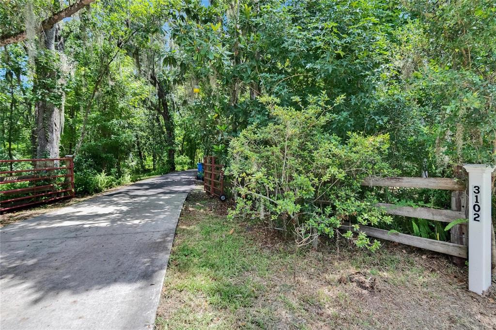 3102 East Trapnell Road Plant City, FL 33566 - Photo 31 of 100 a view of a yard with plants and a trees