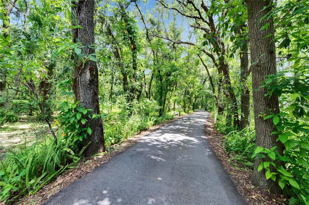 3102 East Trapnell Road Plant City, FL 33566 - Photo 33 of 100