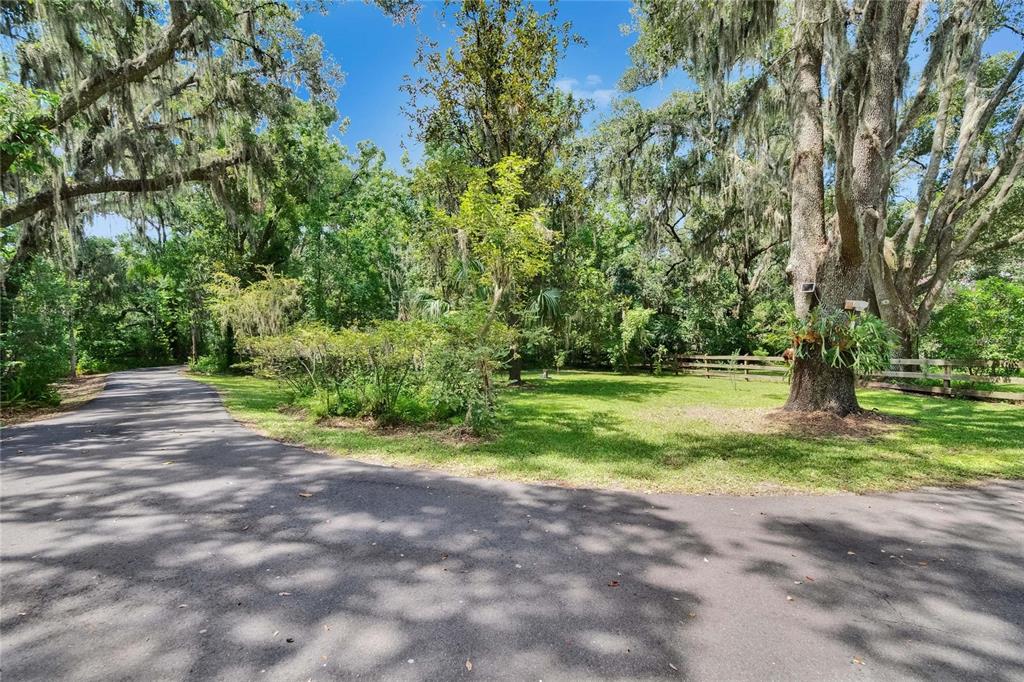 3102 East Trapnell Road Plant City, FL 33566 - Photo 34 of 100 a view of a yard with plants and large trees