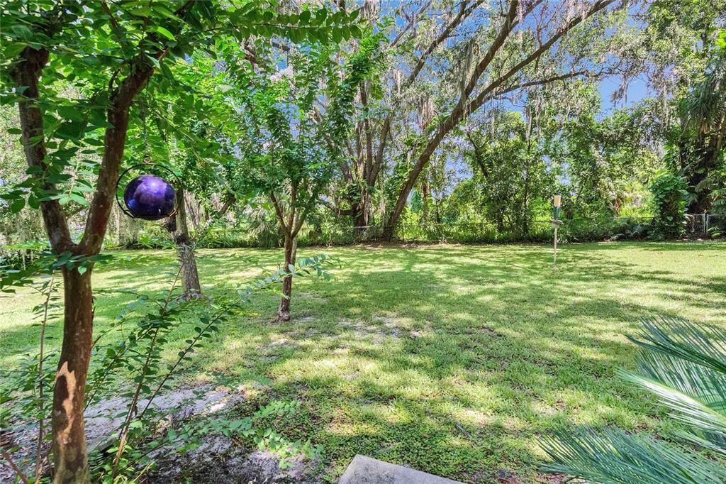 3102 East Trapnell Road Plant City, FL 33566 - Photo 35 of 100