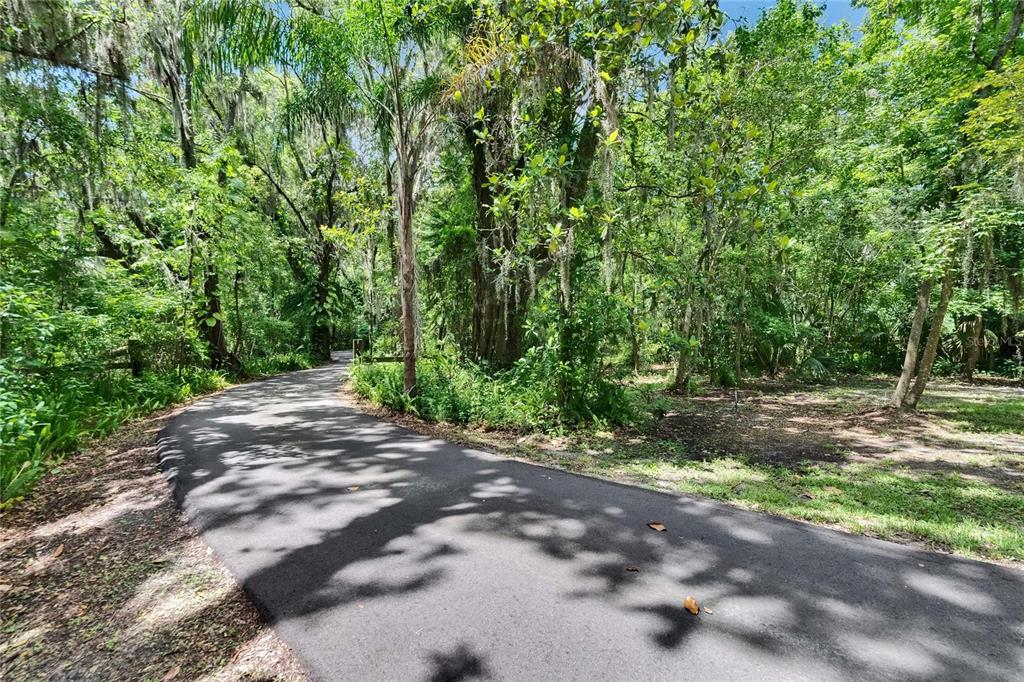 3102 East Trapnell Road Plant City, FL 33566 - Photo 36 of 100 a view of a yard with plants and trees